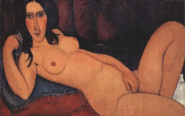 Amedeo Modigliani Reclining Nude with Loose Hair (mk38) France oil painting art